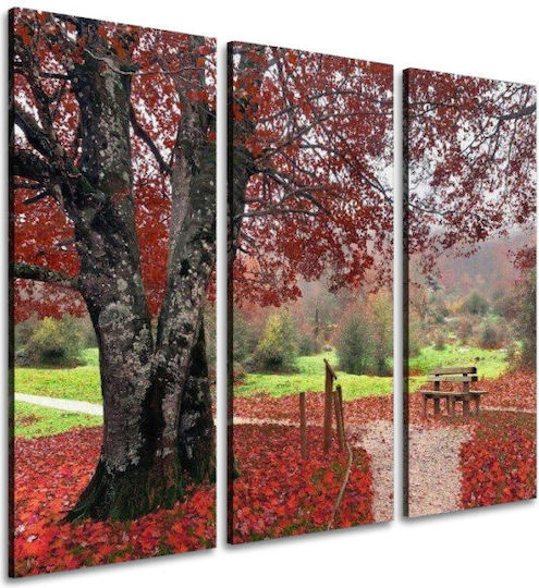 I-gallery Τρίπτυχος Πίνακας σε Καμβά 100x150cm
