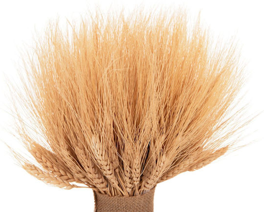 Dried Plant HomeMarkt