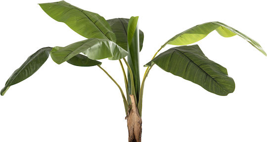 Plantă Artificială în Ghiveci Musa Green 180cm HomeMarkt