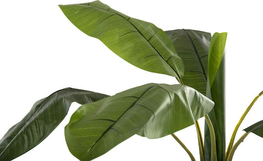 Plantă Artificială în Ghiveci Musa Green 180cm HomeMarkt
