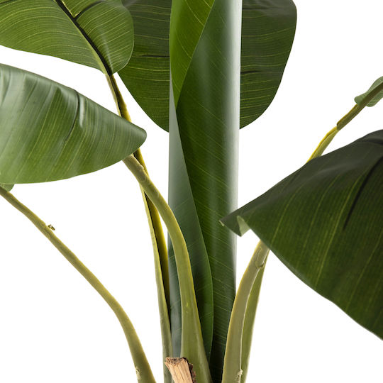 Plantă Artificială în Ghiveci Musa Green 180cm HomeMarkt