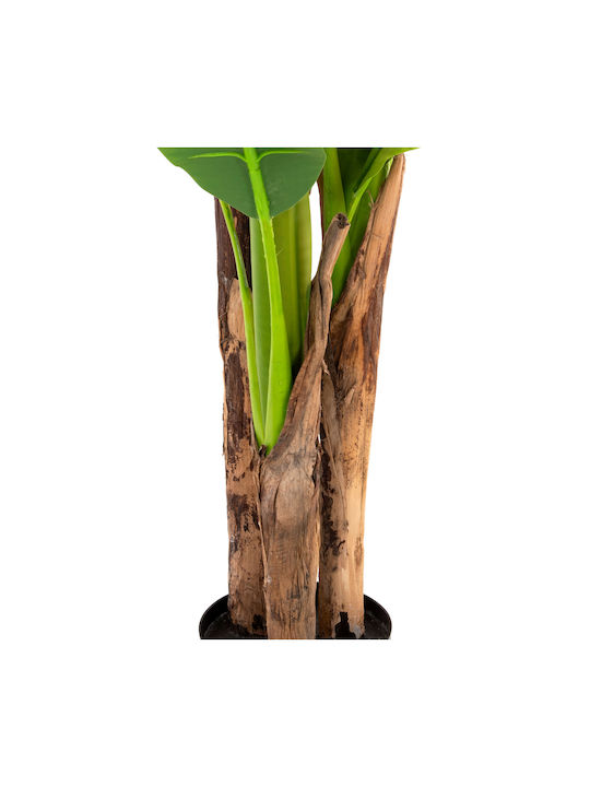 Plantă Artificială în Ghiveci Mic Musa Green 17cm HomeMarkt