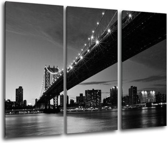 I-gallery Трикратен Картина Платнен 150x100см