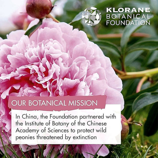 Klorane Peony Σαμπουάν για το Ευαίσθητο Τριχωτό για Εύθραυστα Μαλλιά 400ml
