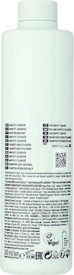 Authentic Beauty Concept Amplify Shampoos Volumen für Gerade Haare 1x300ml