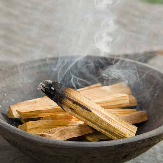 Green Tree Candle Company Αρωματικά Sticks PSANTO-03 100gr