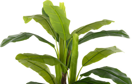 Plantă Artificială în Ghiveci Mic Musa Green Freebox