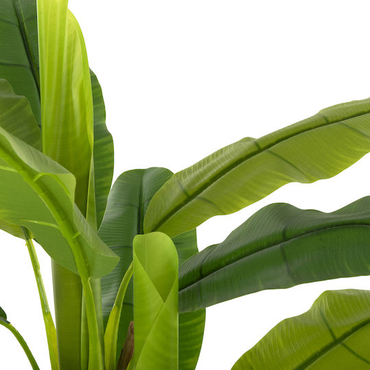 Plantă Artificială în Ghiveci Mic Musa Green Freebox