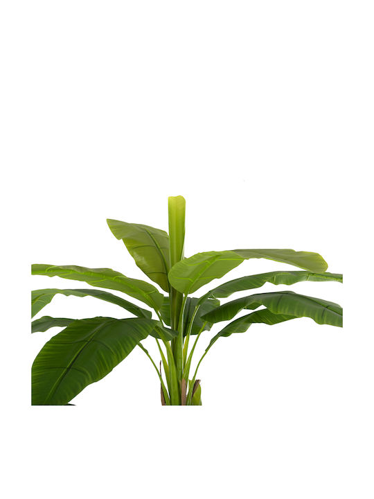 Plantă Artificială în Ghiveci Mic Musa Green 17cm Freebox
