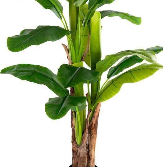 Plantă Artificială în Ghiveci Mic Musa Green 17cm Freebox