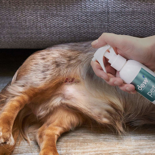 Dew Dog and Cat Body Cleaning Spray 250ml