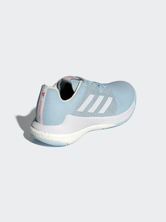 Adidas Crazyflight Sportschuhe Volleyball Ice Blue / Cloud White / Bright Red