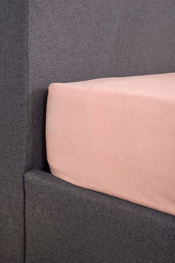 Viokarpet Bed Sheet Home View Rubber Hugger Powder Double 180x200cm +35cm