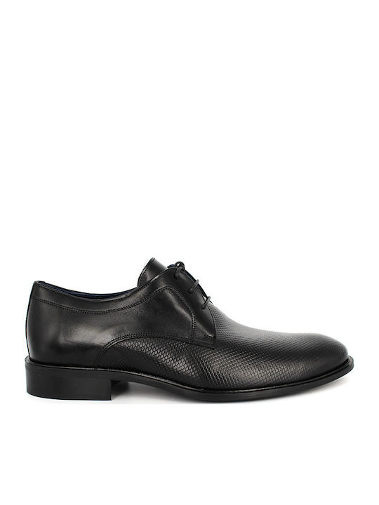 Damiani