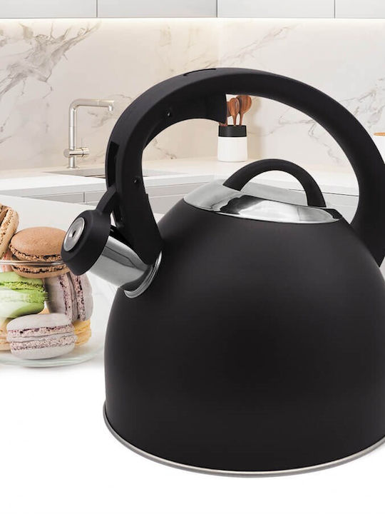 Maestro Teapot Stainless Steel in Black Color 2500ml