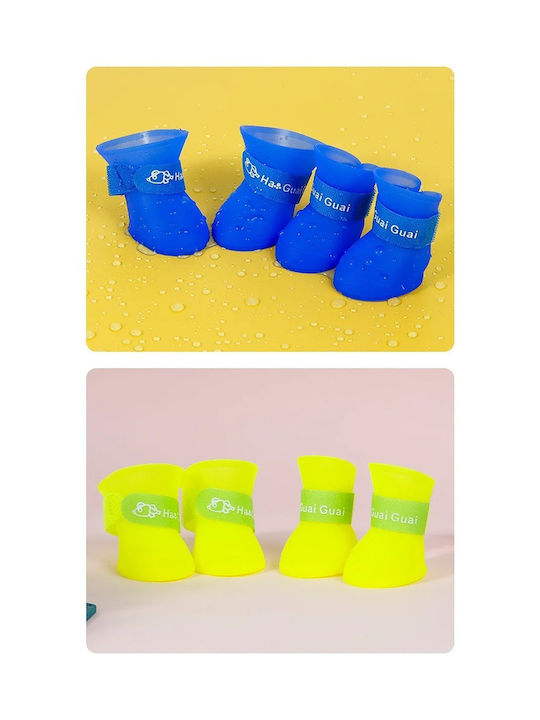 Shoes Dog in Blue Color