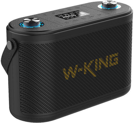 W-King W-King Karaoke Speaker with Wireless Microphones and Lighting Effects H10 Black
