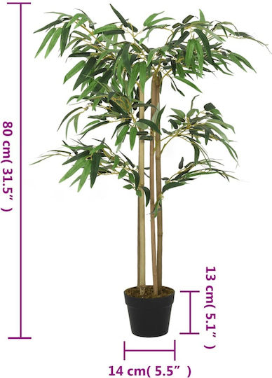Μπαμπού σε Γλάστρα 80cm vidaXL