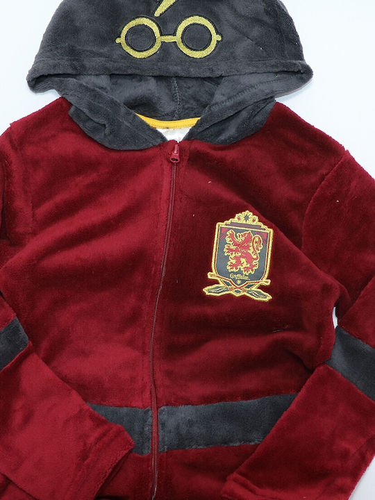 Warner Bros Kids' One-piece Pajamas Winter Fleece burgundy