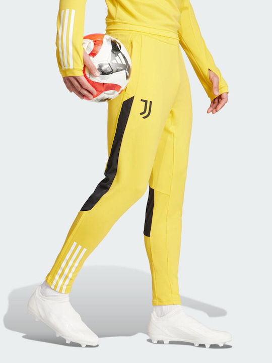 Adidas Tiro 23 Herren-Sweatpants Gelb