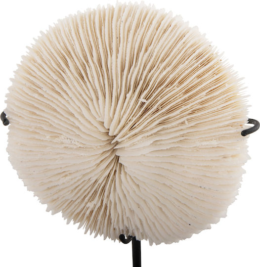 HomeMarkt Coral Decorative from Metal 8cm