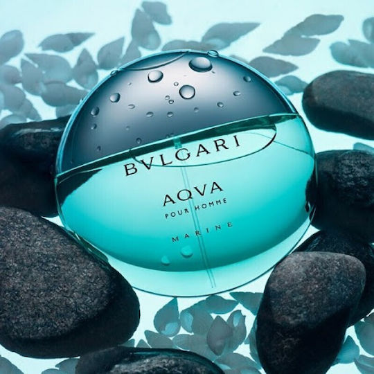 その他 BVLGARI AQVA POUR HOMME 50ml Bvlgari Aqva Pour Homme – Parfum Gallerie