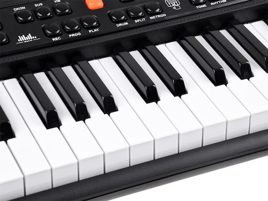 Jokomisiada Harmonium Für 6+ Jahre