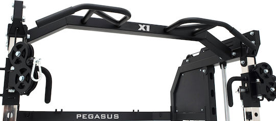 Pegasus Trainer Χ1 Aparat multifuncțional de fitness cu greutăți 250kg