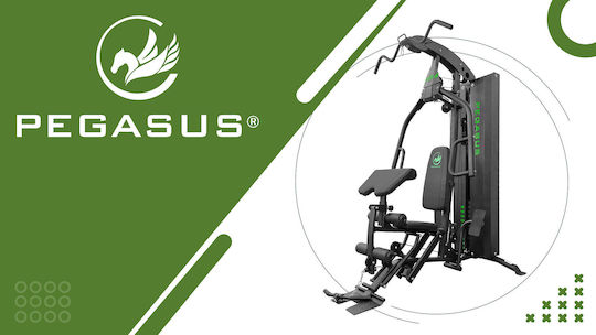 Pegasus HG4 Πολυόργανο Γυμναστικής με Βάρη 72.9kg