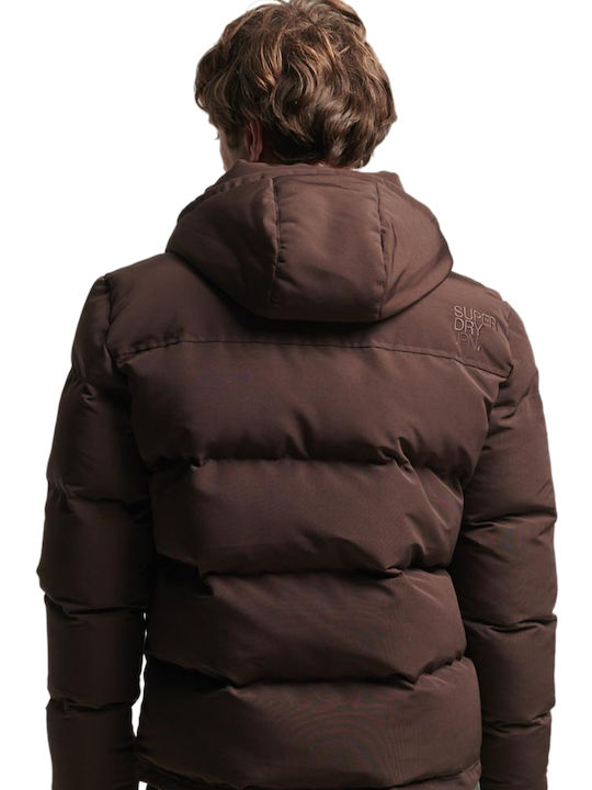 Superdry Everest Short Winter Jacket Puffer Brown