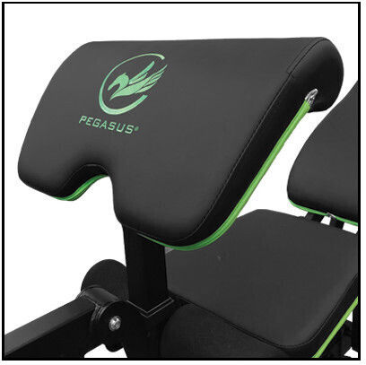 Pegasus MB10 Einstellbar Workout-Bank Bizeps