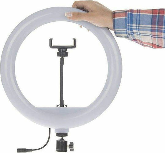 Andowl Ring Light 30cm 3200 - 5600K με Τρίποδο Δαπέδου και Βάση για Κινητό