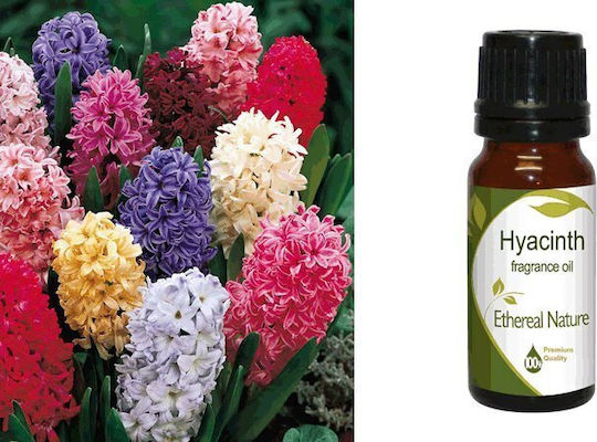 Nature & Body Aromatic Oil Hyacinth 10ml 1pcs