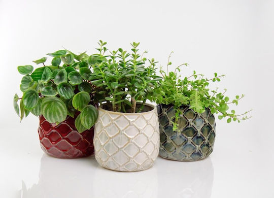 Polnix Plant Pot Ceramic White