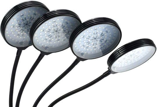Desk Grow Light with LED