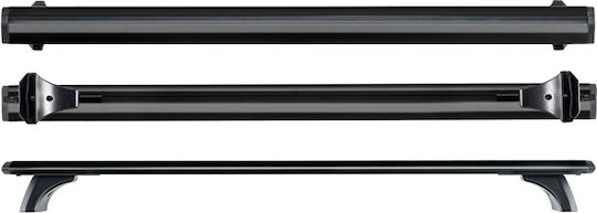 Auto Gs (with Roof Rack Legs) Black