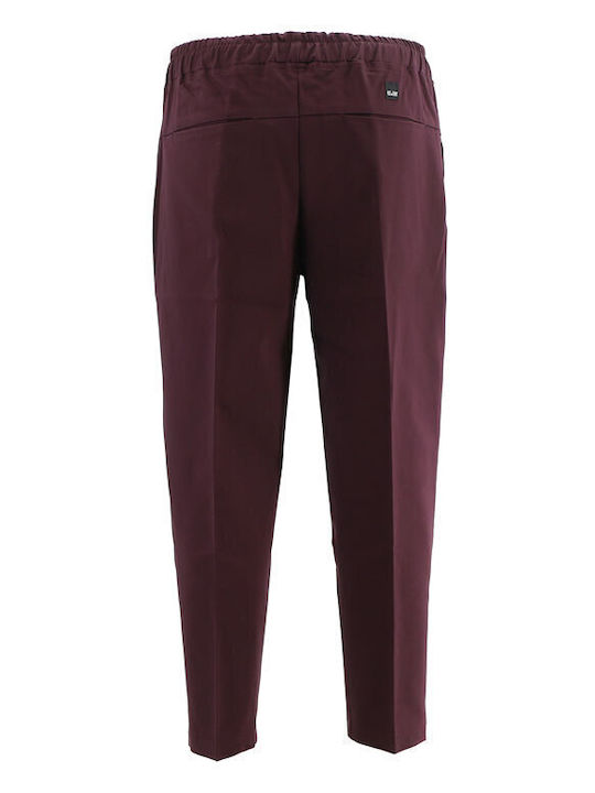 Japan Hose Burgundisch