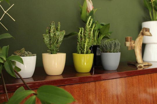 Polnix Plant Pot Plastic Beige