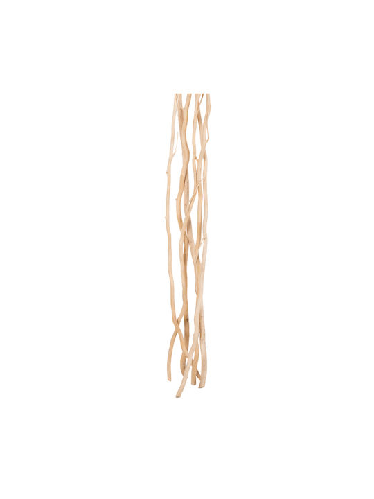 Αποξηραμένο Φυτό Ιτιά Εκρού 170cm 5τμχ HomeMarkt