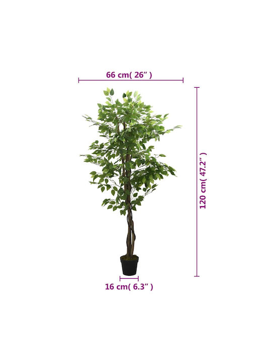 Bambus Für Außenbereich 120cm vidaXL