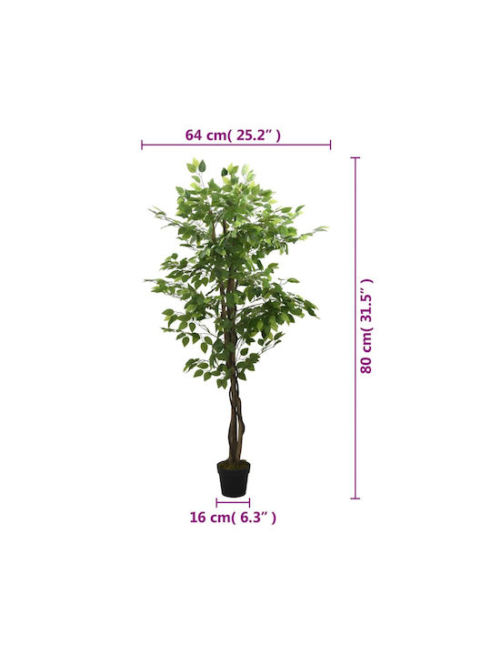 Φίκος σε Γλάστρα 80cm vidaXL