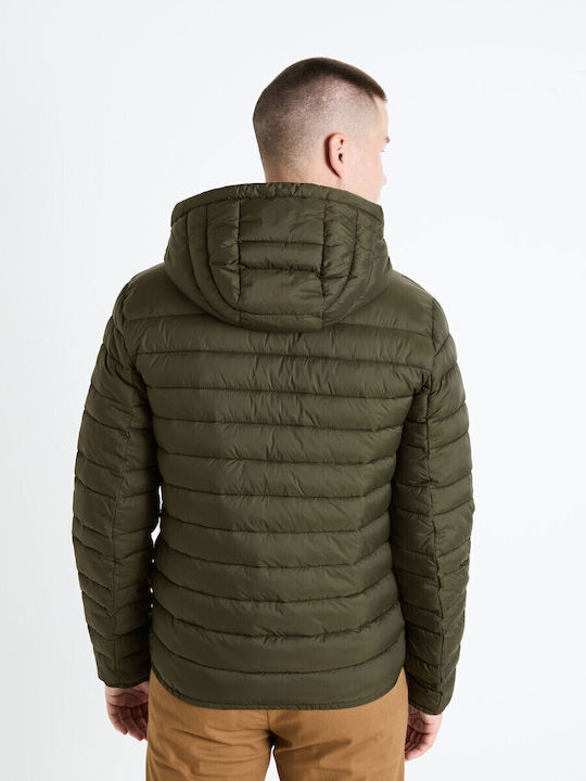 Winter Jacket caqui