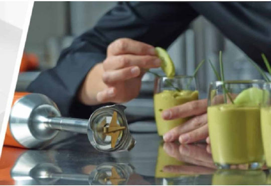 Dynamic Dmx Commercial Hand Blender 220W with Shaft 190mm