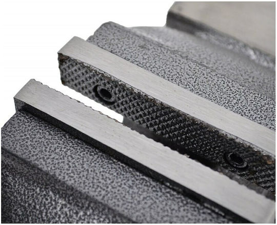 AW Tools Περιστρεφόμενη Μέγγενη Πάγκου με Μέγιστο Άνοιγμα 100mm