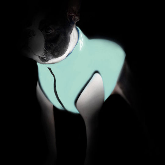 WauDog Waterproof Dog Coat with 45cm Back Length