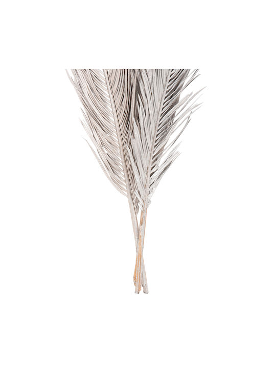 Getrocknete Pflanze Palme Silber HomeMarkt