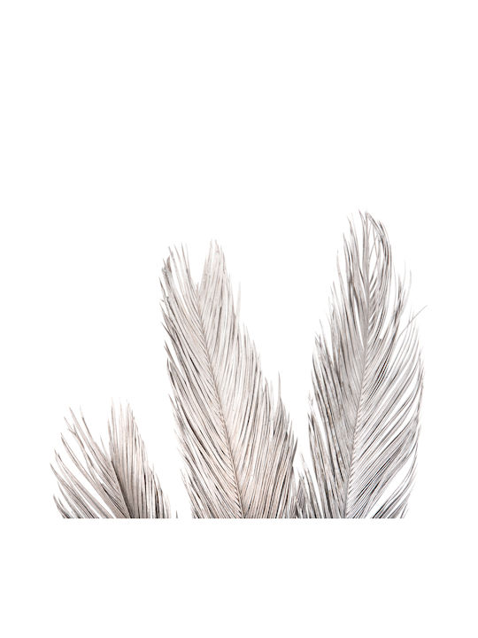 Getrocknete Pflanze Palme Silber HomeMarkt