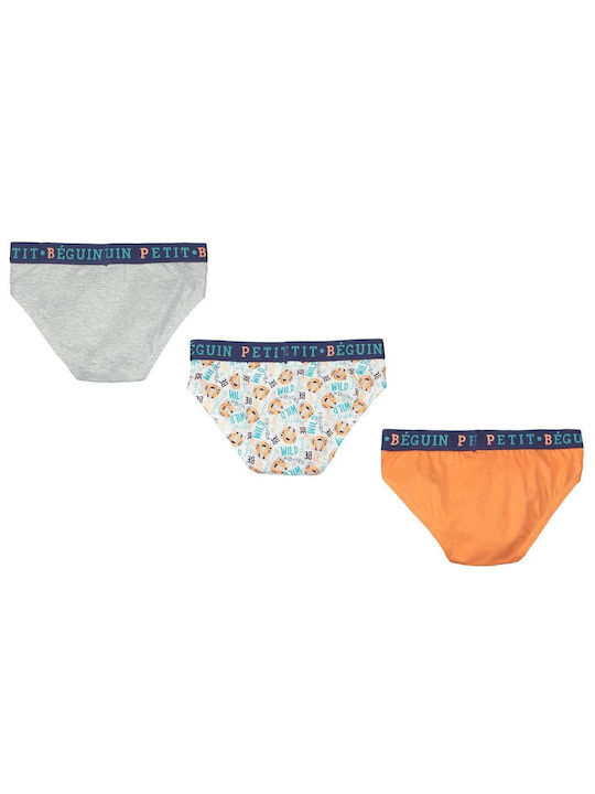 Petit Beguin Briefs 3Pcs Slips Jungle 6004908-JUNGLE Plaid Boy