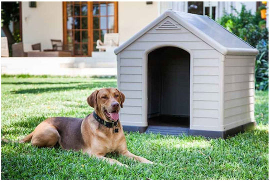 Keter Căsuță Pentru Câini Mare Din Plastic Cu Izolație Pentru Exterior Gri 95x99x99cm