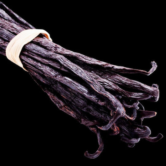 Yodeyma Prime Eau de Parfum 15ml